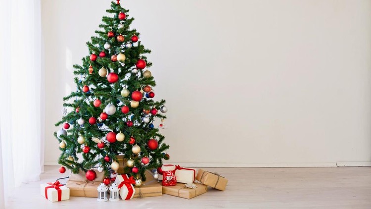 The joy of Christmas begins to be felt, Merry Christmas from the Christmas tree in the living room