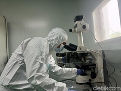 Kementan Percepat Produksi Vaksin Hewan untuk Antisipasi Cuaca Ekstrem