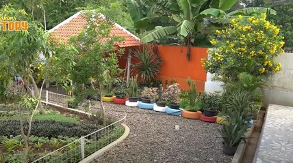 Detik Network