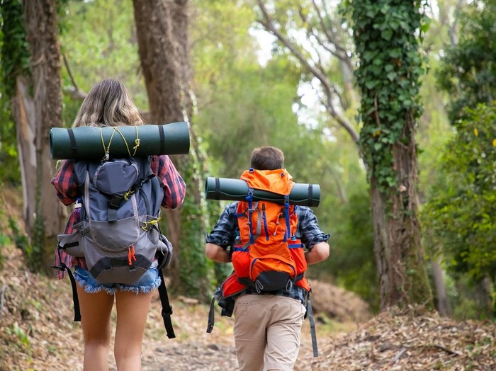 Tren Ziarah Modern/ Foto: Freepik.com/pch.vector