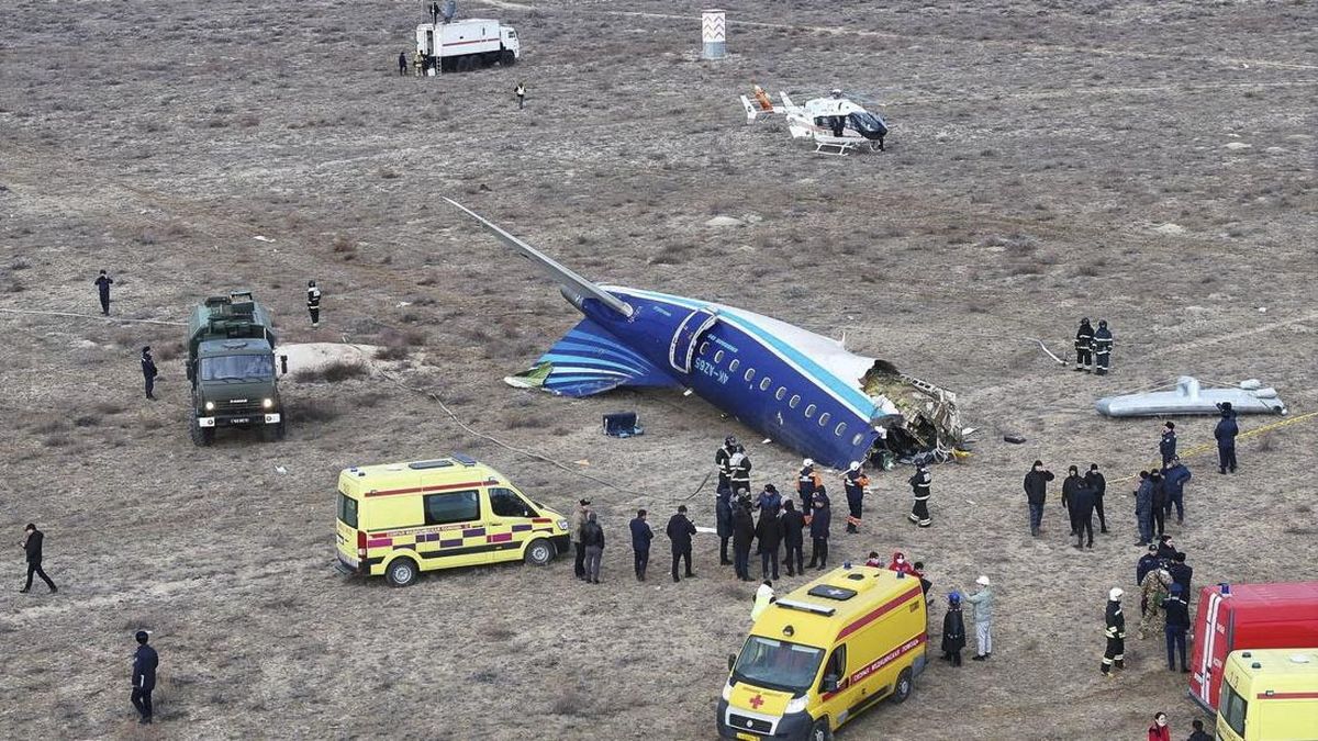 Dugaan Penyebab Pesawat Azerbaijan Airlines Jatuh, Gegara Burung?