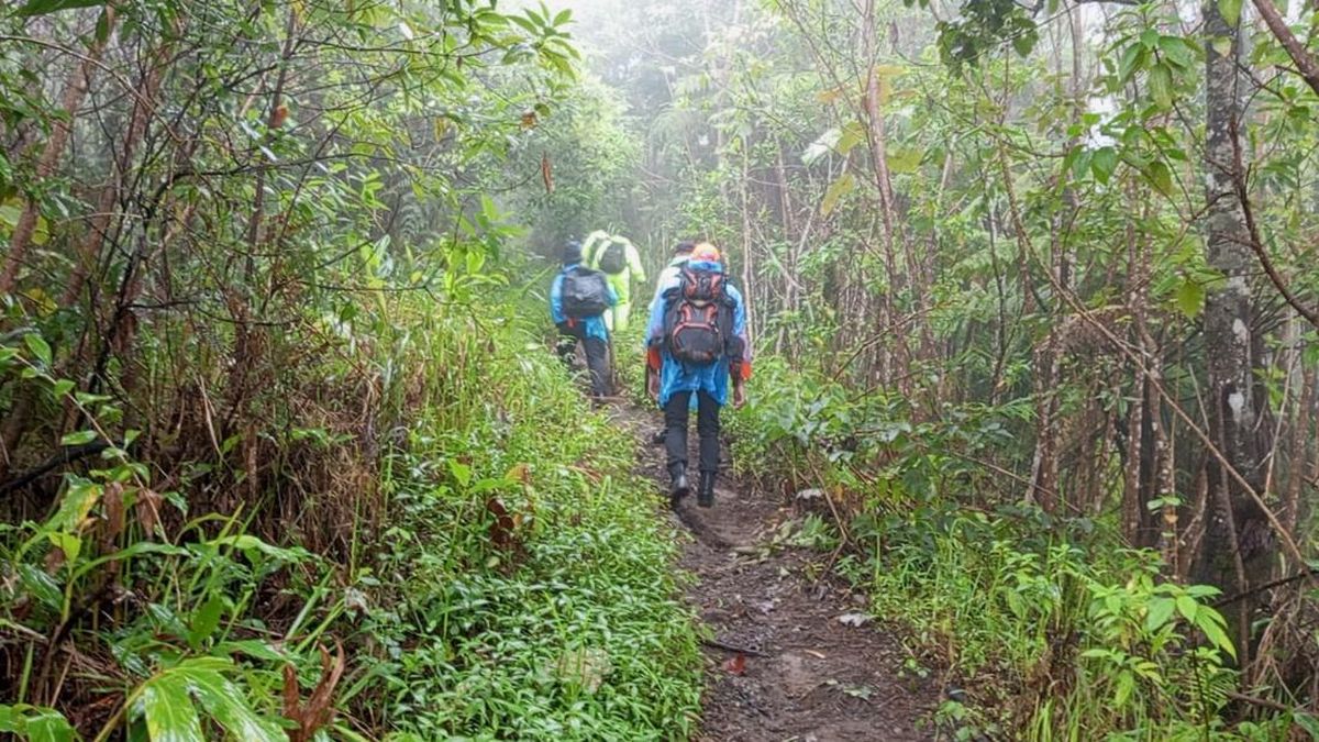 Solidaritas Pencarian Syafiq di Gunung Slamet, Ramai Relawan Membantu