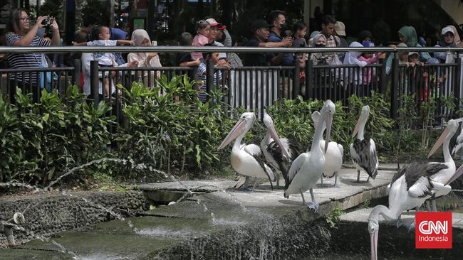 Akhir tahun bisa dimanfaatkan keluarga untuk berlibur. Berikut rekomendasi tempat wisata akhir tahun di Jakarta yang cocok dikunjungi oleh keluarga.