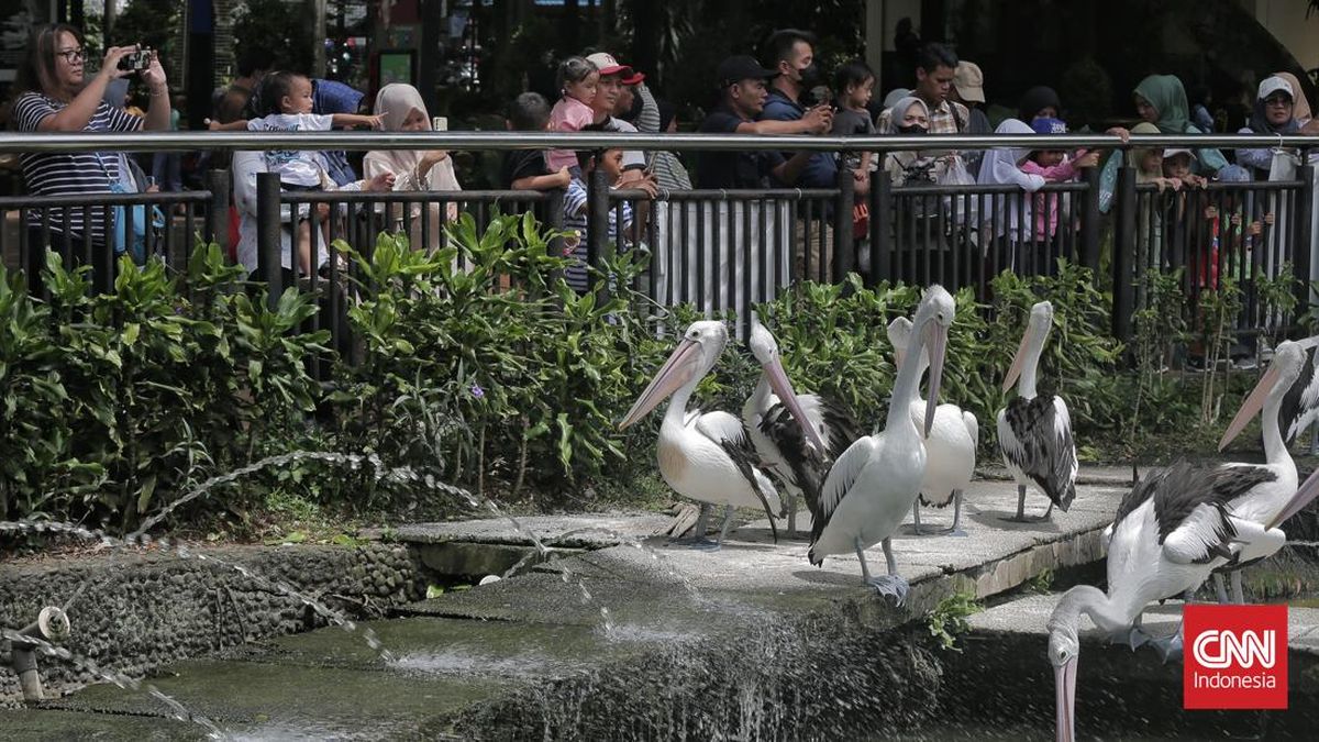 7 Rekomendasi Wisata Akhir Tahun di Jakarta, Cocok buat Keluarga