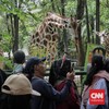 Pramono Berencana Buka Taman Margasatwa Ragunan Malam Hari