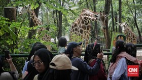 FOTO: Ceria Bertamasya ke Ragunan Saat Libur Natal
