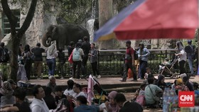 28 Ribu Wisatawan Serbu Ragunan di Hari Kedua Lebaran