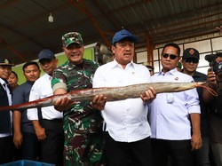 KKP Pastikan Pelabuhan Perikanan Karangsong Siap Pasok Kebutuhan Nataru
