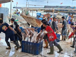 Tempat Pelelangan Ikan Karangsong Tambah Ramai saat Nataru, Begini Kondisinya