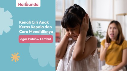 Detik Network