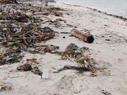 Potongan Pinggang ke Lutut Ditemukan di Pesisir Pantai Selayar Sulsel