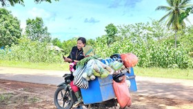 Kisah Mantri BRI Berdayakan Kelompok Usaha Tanah Miring Merauke