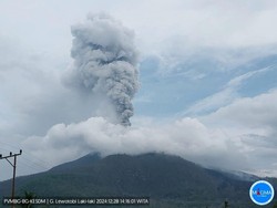 Gunung Lewotobi Laki-laki Kembali Meletus meski Turun Status Jadi Siaga