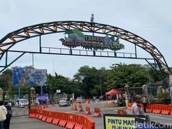 Video: Sorotan Wamenpar soal Kesiapan Taman Margasatwa Ragunan di Libur Nataru
