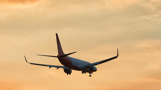 Pengirim email misterius yang mengeklaim menyebabkan pesawat Jeju Air jatuh di Muan Korsel mengancam akan meledakkan bom di sejumlah kota di malam Tahun Baru.