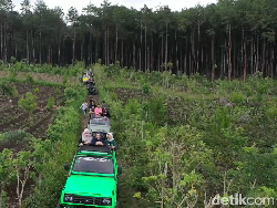 Ide Aktivitas Libur Akhir Tahun, Offroad di Kaki Gunung Semeru