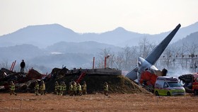 Jeju Air Kecelakaan, Acara TV Dibatalkan dan Perilisan Album Ditunda