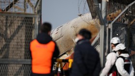Apa Itu Bird Strike Diduga Jadi Penyebab Jeju Air Jatuh saat Mendarat?