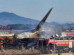Pesawat Jeju Air Jatuh di Muan Korsel Tewaskan 29 Orang Diduga gegara Burung