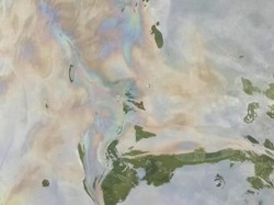 Duh! Pantai Cantik di Bali Tercemar Tumpahan Minyak, Turis-turis Langsung Kabur