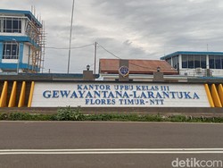 Pesawat Menteri Wihaji Terdampak Erupsi Gunung Ile Lewotolok
