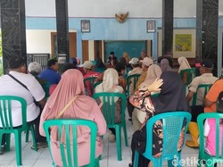 Musim Hujan Tiba, 100 Ekor Hewan Ternak Lamongan Terinfeksi PMK