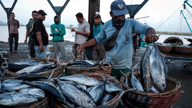Sumber kalsium tidak hanya dari susu, ada beberapa jenis ikan yang juga bisa jadi sumber kalsium.