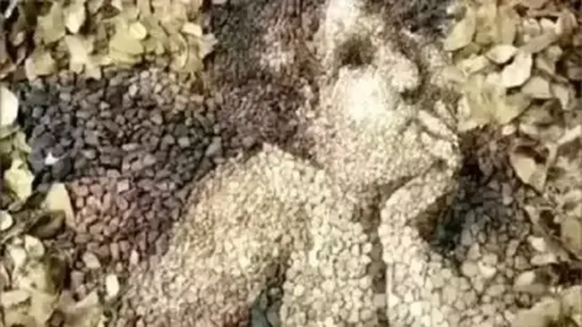 Tes Kepribadian: Gambar Pertama yang Dilihat Bisa Tunjukkan Kamu Bahagia atau Dilanda Stres dalam Hidup