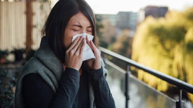 Kasus influenza menurut WHO