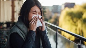 Kasus influenza menurut WHO