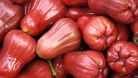 Kaya Nutrisi, Ini 10 Manfaat Tak Terduga Buah Jambu Air