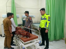Kronologi Bidan Wahyuni Tewas Usai Tabrak Kerbau Melintas