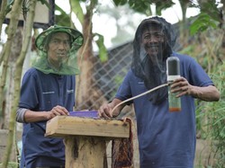 Penguatan Komoditas Pangan, Pertamina Dukung 13 Kelompok Perhutanan Sosial