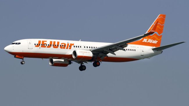 Fakta-fakta Seputar Kecelakaan Pesawat Jeju Air di Korea Selatan, Ada Dua Korban Selamat