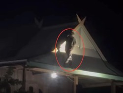Video: Pria Nyaris Diamuk Gegara Kepergok Naik Atap Rumah Warga di Pinrang