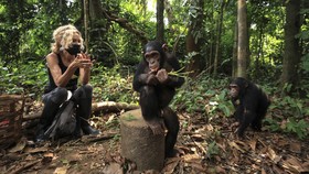 FOTO: Kehidupan Baru Simpanse Remaja di 'Panti Asuhan' Kamerun