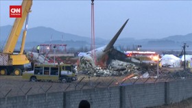 VIDEO: Seluruh Penumpang Pesawat Jeju Air Tewas, 2 Pramugari Selamat