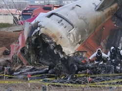 Tragedi Jeju Air, Bulu Burung-Darah Ditemukan pada Mesin Pesawat