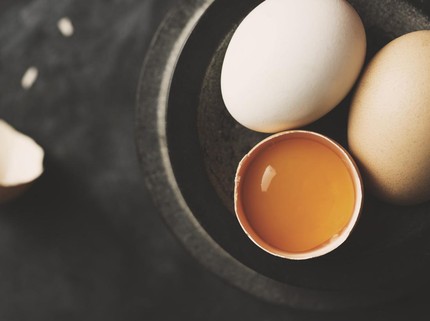 Ketahui Perbedaan Telur Biasa dan Telur Omega untuk MPASI Anak