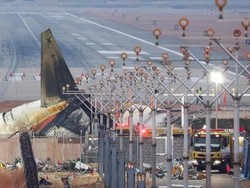 Kecelakaan Jeju Air, Pakar Pertanyakan Dinding Beton Dekat Landasan