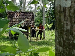 Pendalaman Dilakukan Demi Ungkap Pemerkosaan-Pembunuhan Siswi MI Banyuwangi