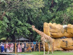 Puncak Libur Nataru di KBS pada 1 Januari Diprediksi 45 Ribu Pengunjung