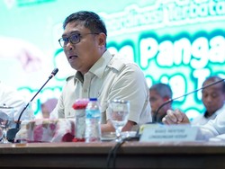 Video Wamentan soal Beras Bulog Berkutu: Bisa Jadi Pakan Ternak