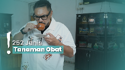 Wisata Kesehatan di Kalibakung Tegal, Ahlinya Pembuat Jamu Tradisional