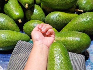 Daftar 9 Makanan yang Sebaiknya Tidak Dikonsumsi Bersamaan dengan Alpukat