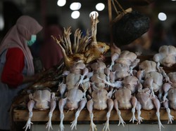 Harga Sembako Jogja Hari Ini 14 April 2025: Cabai dan Daging Ayam Turun