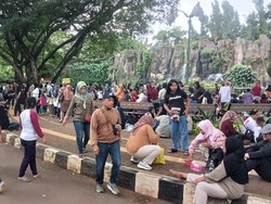 Ramai-ramai Serbu Tempat Wisata di Awal 2025