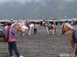 Tahun 2026, Cek Jadwal Penutupan Wisata Bromo