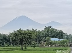 Berstatus Waspada, Gunung Semeru Erupsi 14 Kali dalam 24 Jam