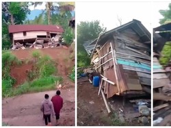 7 Rumah Warga Rusak Berat Diserang Kawanan Gajah Liar